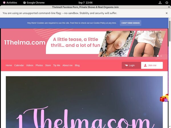 1thelma.com Hd Porn Videos