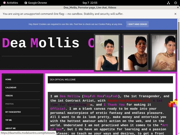 Account Deamollis.modelcentro.com