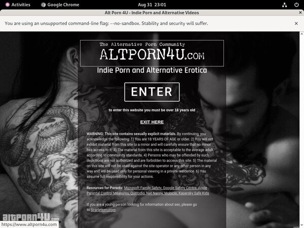 Altporn4u Stories