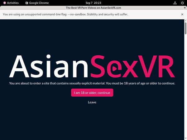 Asian VR Sex Discount Tour