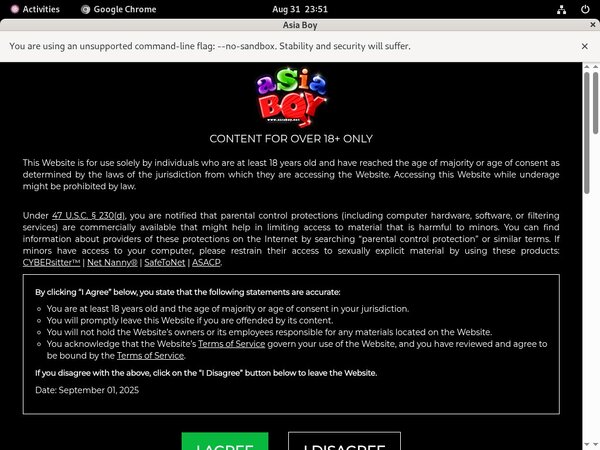 Boy Asia Site Rip
