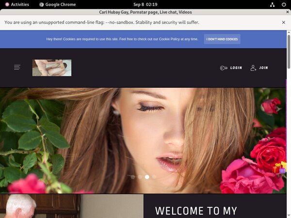 Carl Hubay Gay Limited Sale