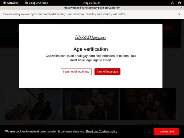Cazzo Passwords Free