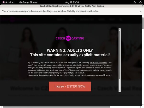 Czechvrcasting Pricing