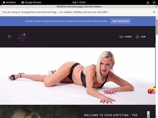 DirtyTina Save
