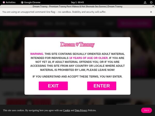 Dreamtranny X