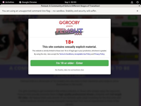 Femout Password Details