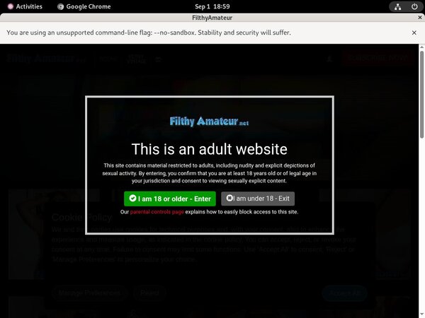 Filthyamateur.net Site Rip Download