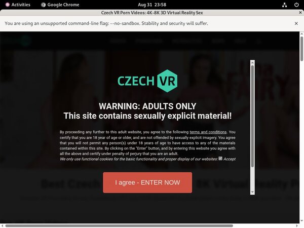 Free Account Of Czech VR