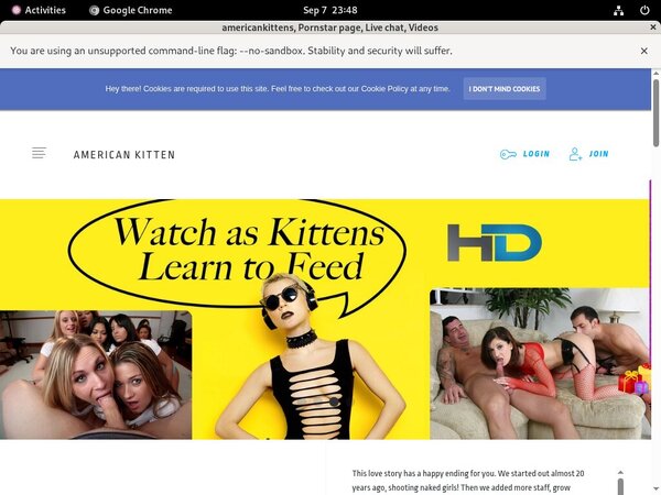 Free Americankitten.com Premium Passwords