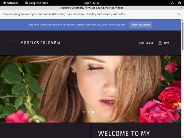 Free Andycase.modelcentro.com Accounts And Passwords