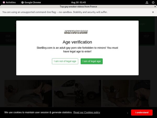 Free Passwords Sketboy.com