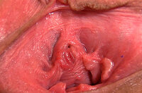 Get Gapemypussy Deal s3