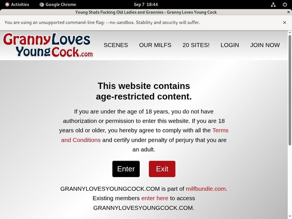 Granny Loves Young Cock Site Discount