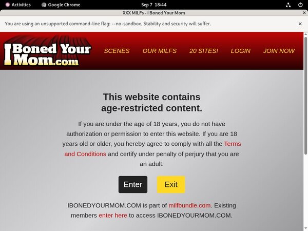 Ibonedyourmom Password Details