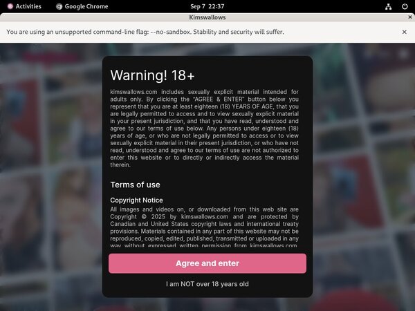 Kimswallows Trial Promo