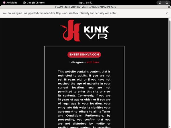 Kink VR Discount Account