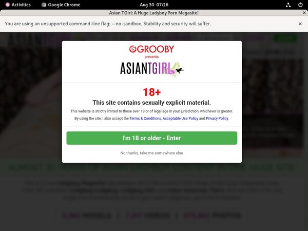 Ladyboy Ladyboy Check Out