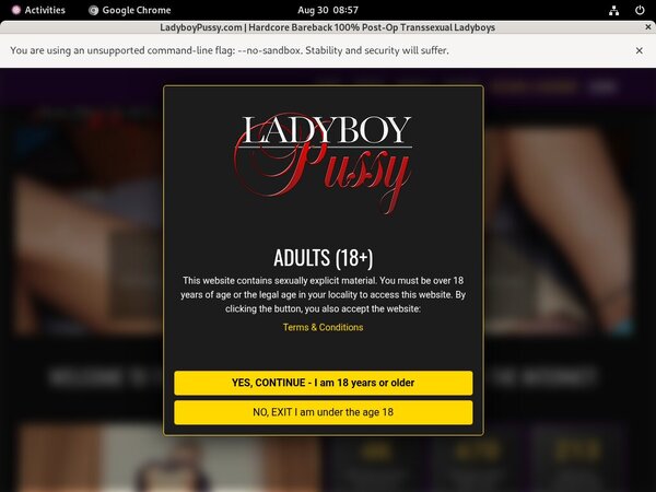 Ladyboy Pussy Discount Prices
