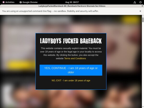 Ladyboys Fucked Bareback With Prepaid Card Ladyboys Fucked Bareback With Prepaid Card