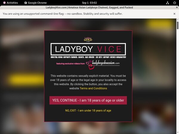 Ladyboyvice Trial Memberships