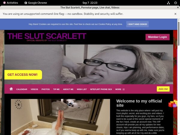Logins For TheSlutScarlett