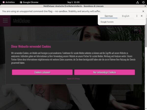 Meli Deluxe Password Info