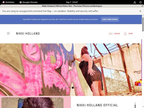 Nikkiholland.video Gxplugin (IBAN/BIC)