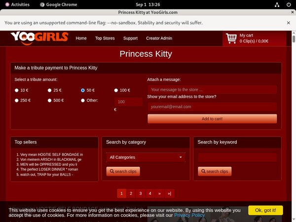 Password Princess Kitty