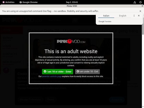 Pinkovod.com One Time Discount