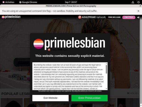 Primelesbian Access Primelesbian Access