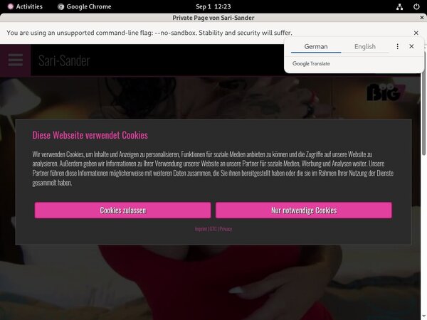 SariSander Register Free