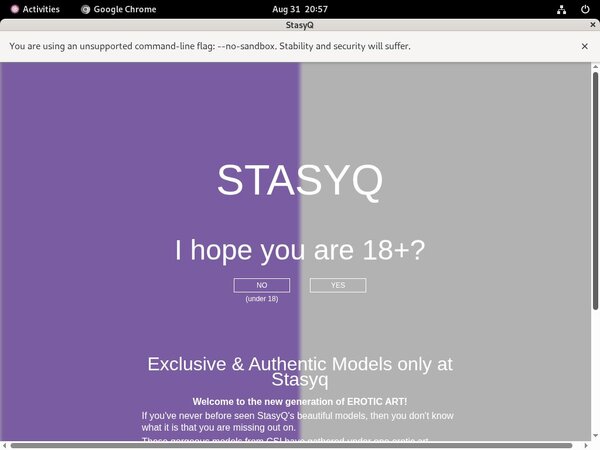 Stasyq Free Access