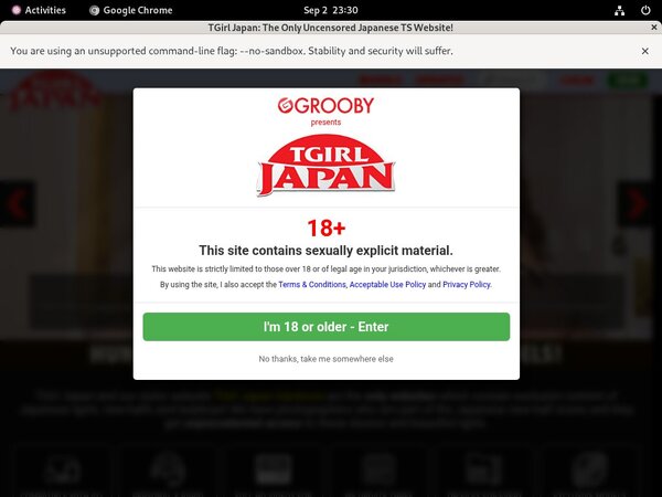 TGirl Japan Site Passwords