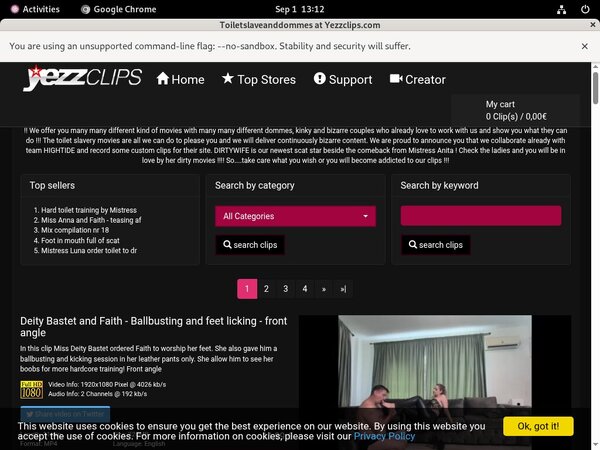 Toiletslaveanddommes Webcams