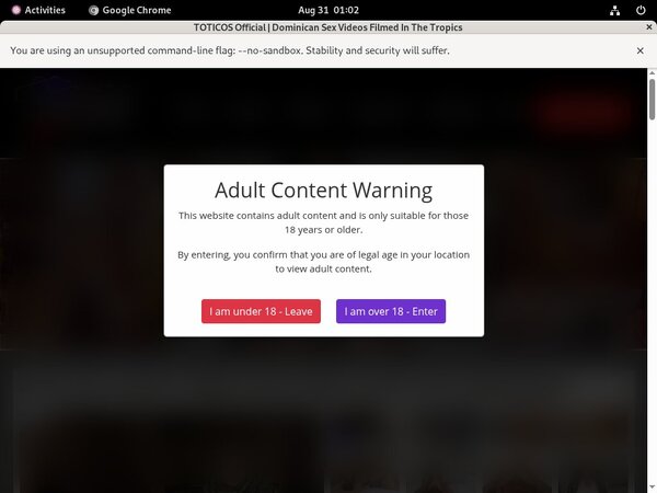 Toticos Site Rip Link