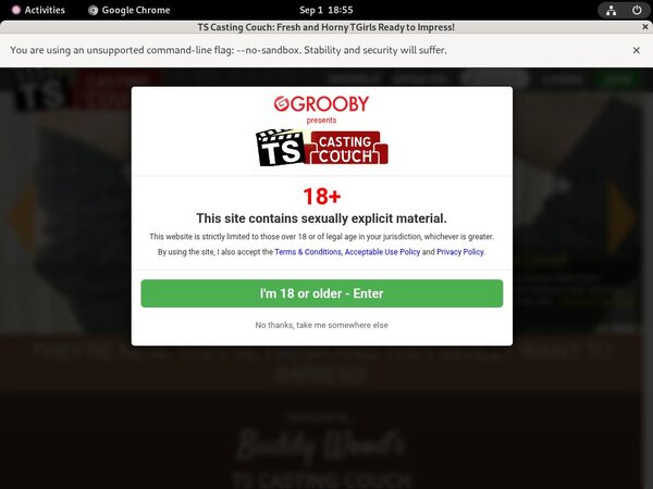 Ts-castingcouch.com Account Free