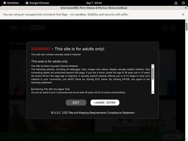 Access To Shelovesblack Access To Shelovesblack