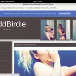 BaddBirdie Stream