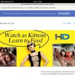 Free Americankitten.com Premium Passwords