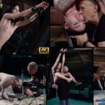 New Subspace Land Videos