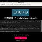 Plushies Website Password